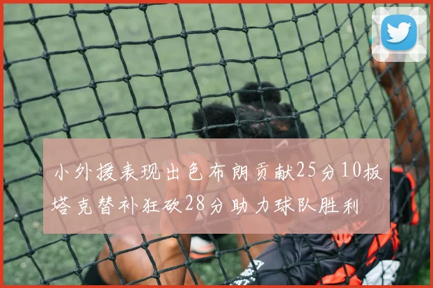 小外援表现出色布朗贡献25分10板塔克替补狂砍28分助力球队胜利