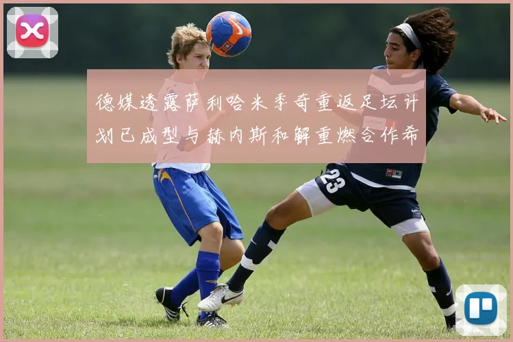 德媒透露萨利哈米季奇重返足坛计划已成型与赫内斯和解重燃合作希望