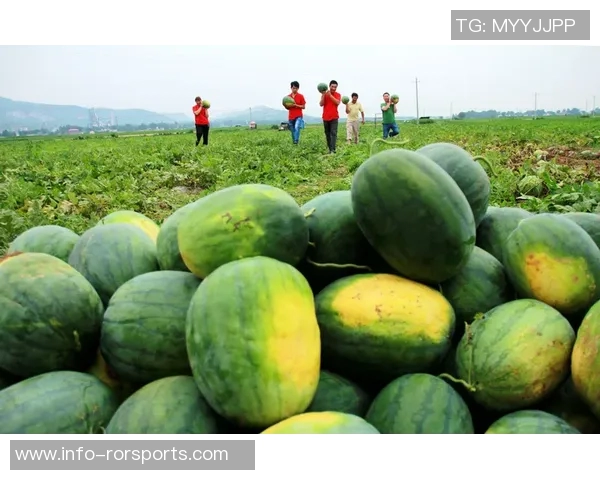 瓜帅感慨决赛之路愈加艰难或许是因为我变老了